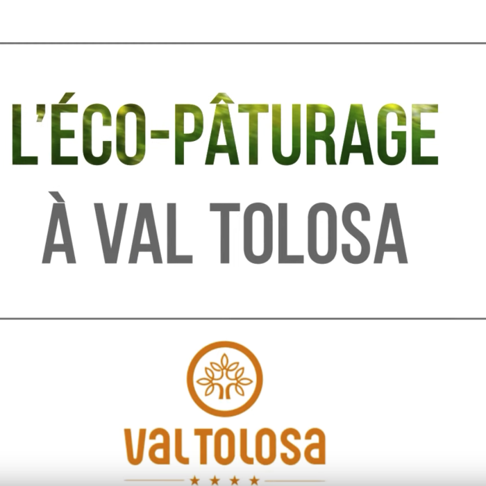 L'écopâturage à Val Tolosa