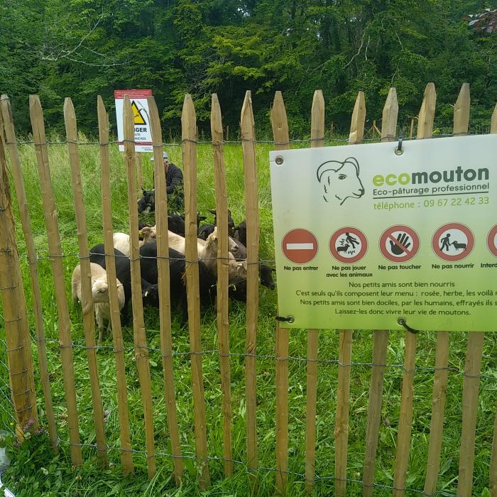 Université Bordeaux