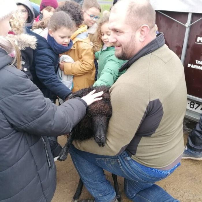 Ecopaturage bretagne