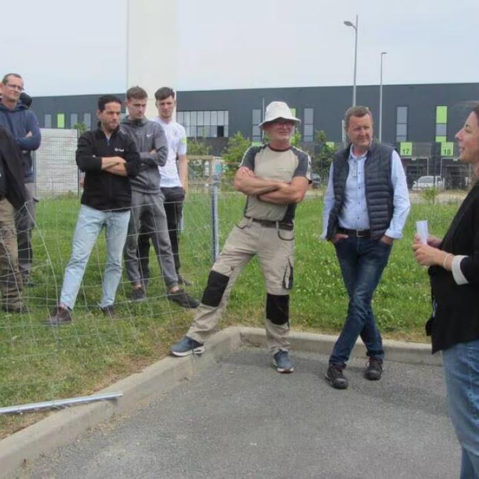 Ecopaturage ecomouton